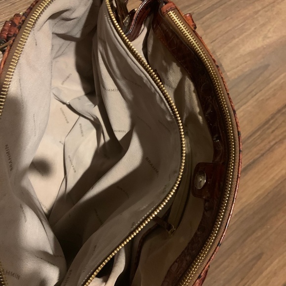 BRAHMIN - Picture 5 of 6